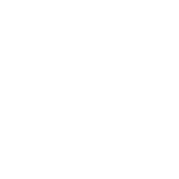 Icono de flip color blanco.